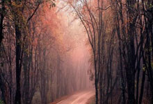 蓝鲸体育：哈登24+12快船险胜猛龙4连胜 公牛逆转胜老鹰.