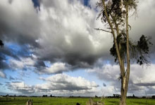 蓝鲸体育：哈登24+12快船险胜猛龙4连胜 公牛逆转胜老鹰.