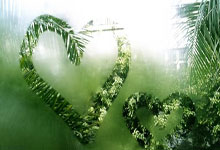 蓝鲸体育：哈登24+12快船险胜猛龙4连胜 公牛逆转胜老鹰.